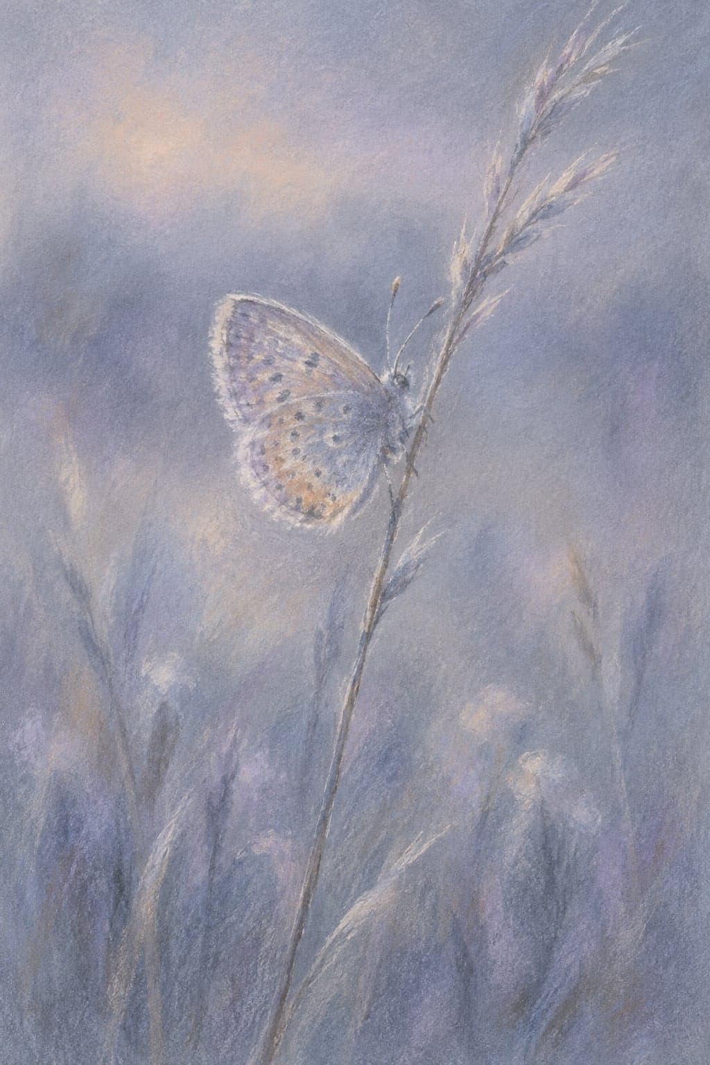 Card 32